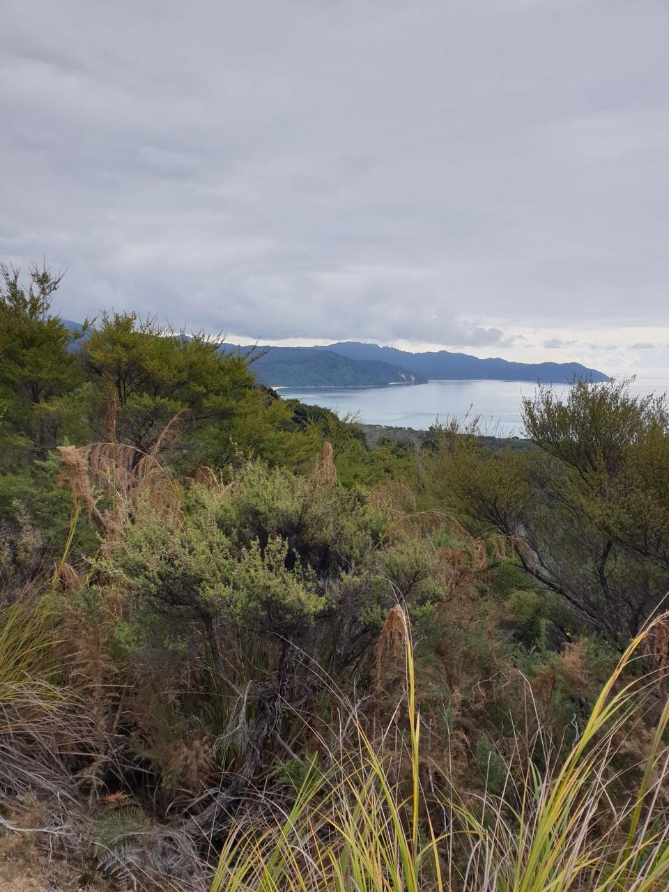 Neuseeland - Mapua - 