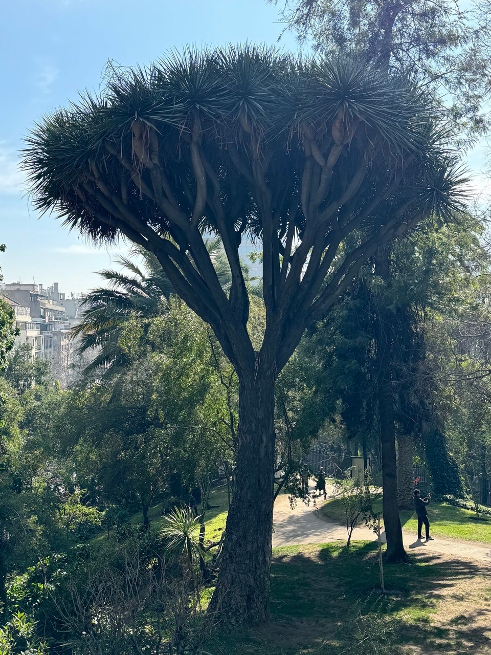 Chile - Santiago de Chile - 