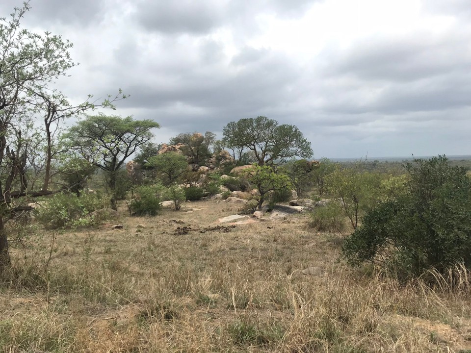 Swasiland -  - 