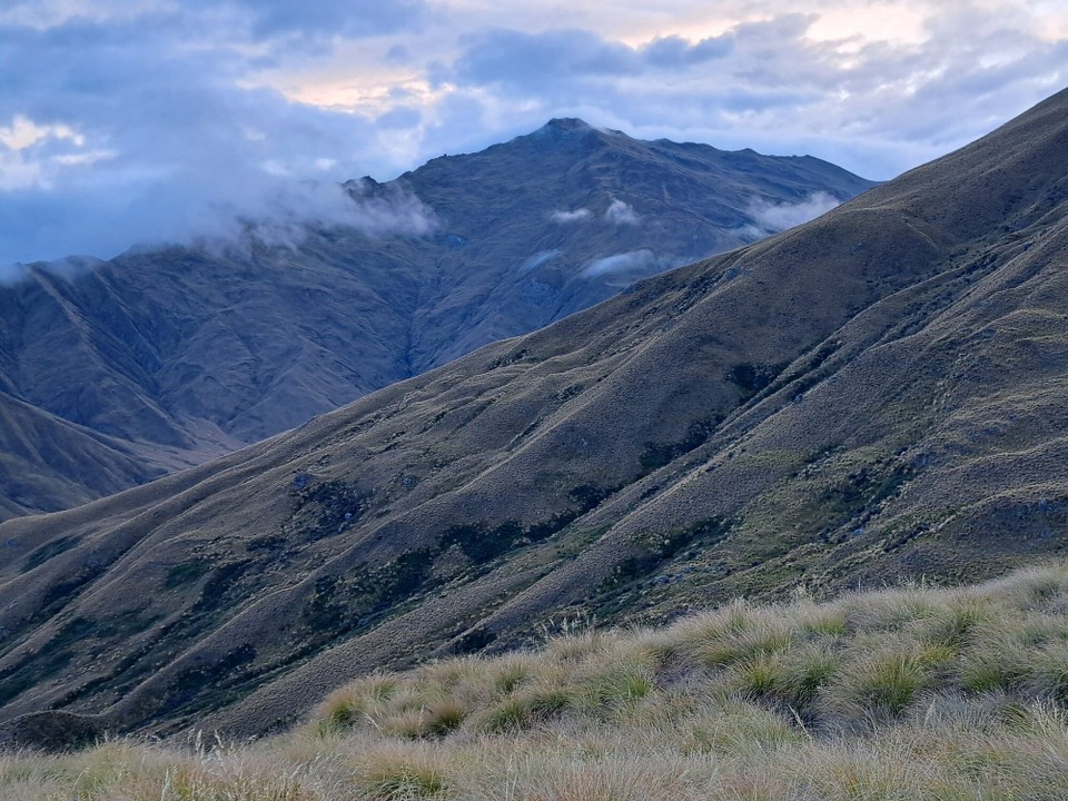 Neuseeland - Arrowtown - 