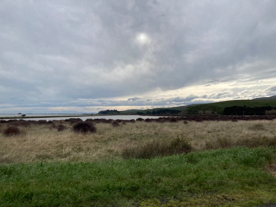 Neuseeland - Duvauchelle - 