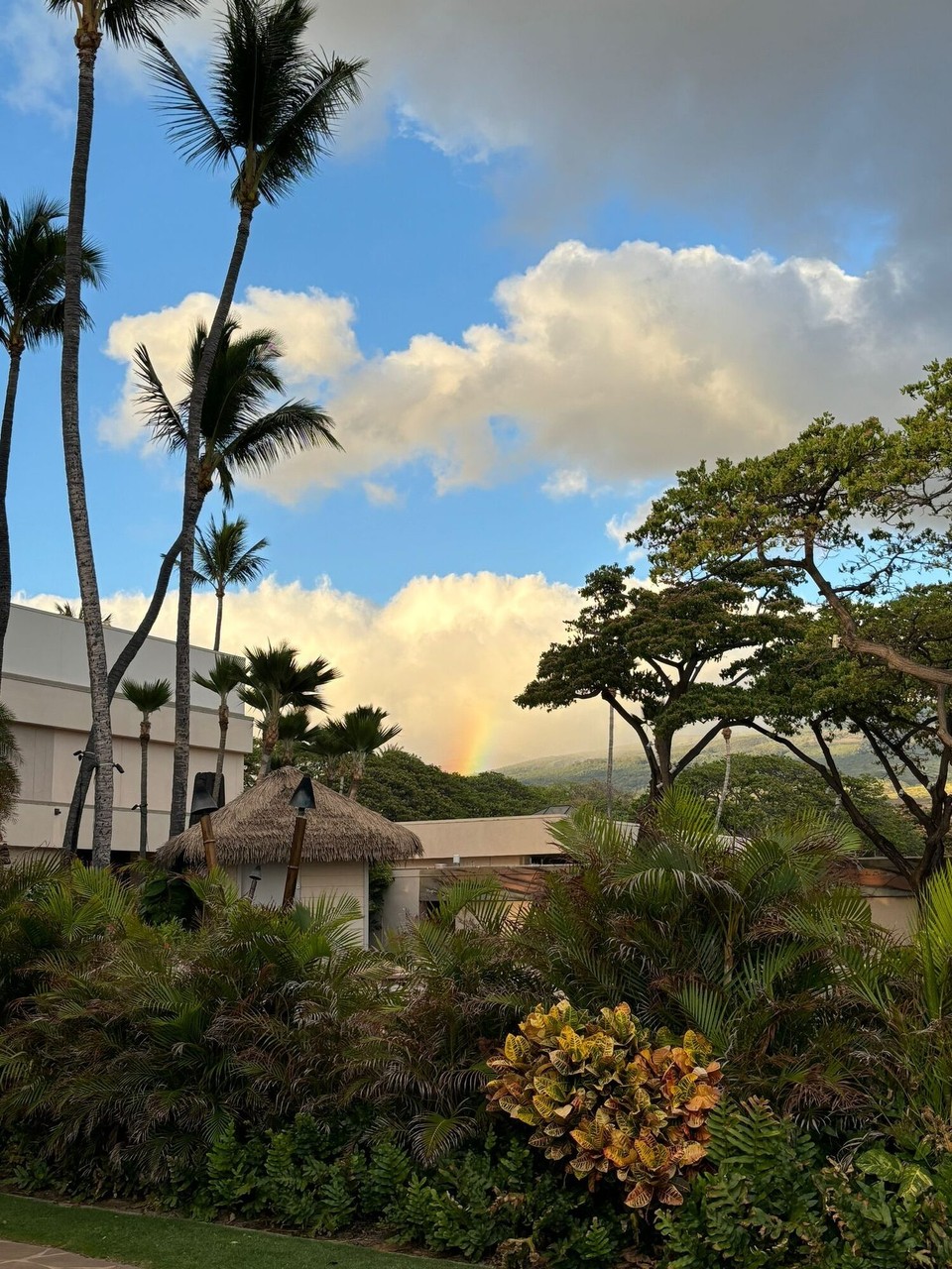 Vereinigte Staaten - Kaanapali - 