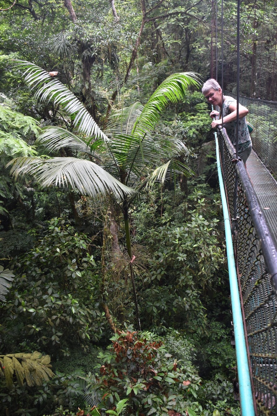 Costa Rica - San Carlos - Die erste Hängebrücke über den Fluss ist über 200m lang und ganz schön hoch.  