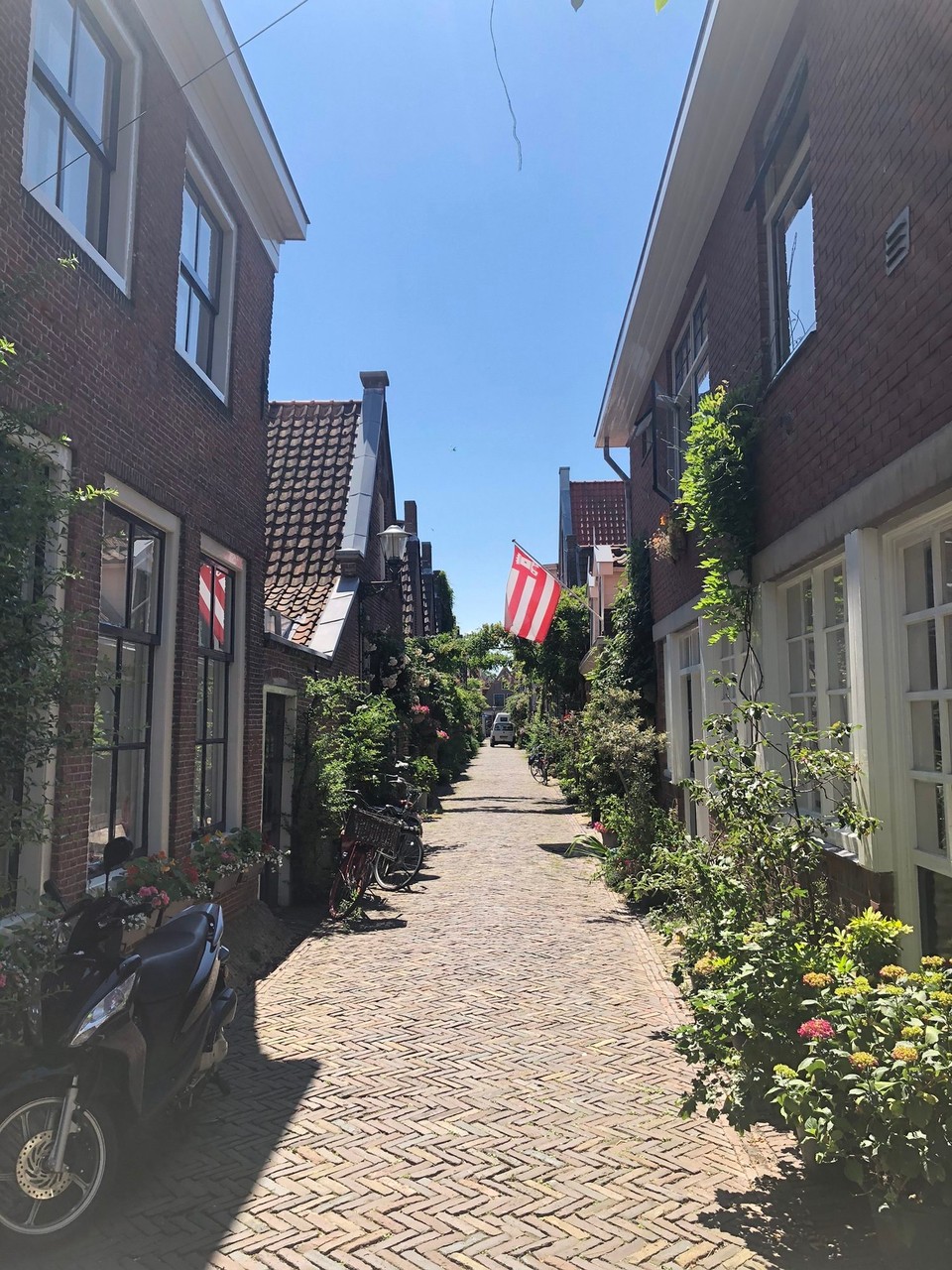 Niederlande - Alkmaar - 