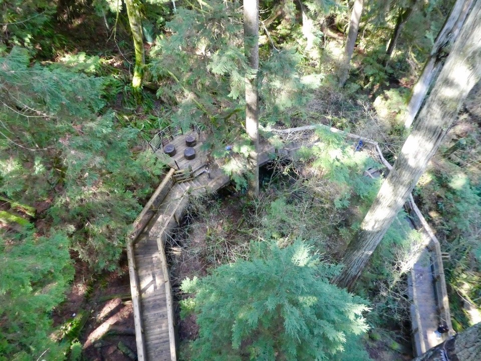 Canada - Vancouver - Walkway through the giants