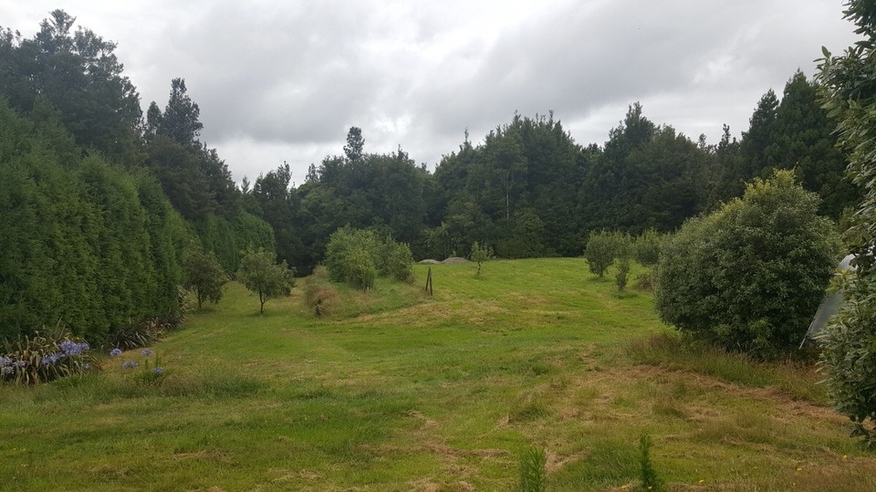 Neuseeland - Oropi - Einer der ungenutzten Flächen der Farm.