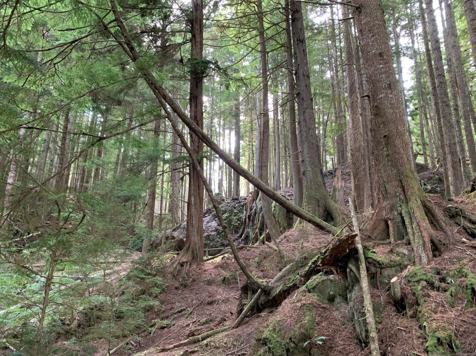 Kanada - Mount Waddington A - 