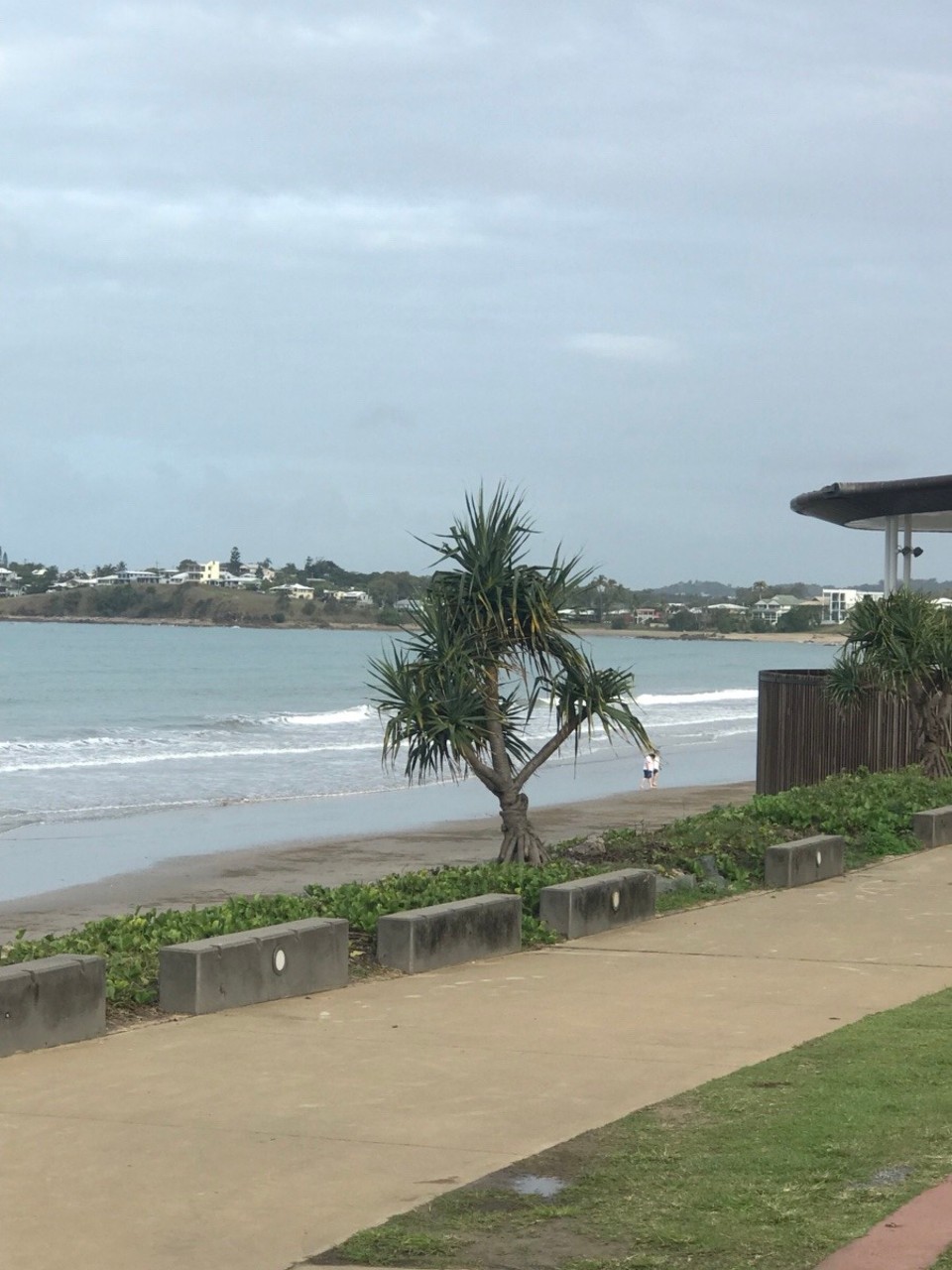 Australia - Cooee Bay - Along the boardwalk of Yeppoon 