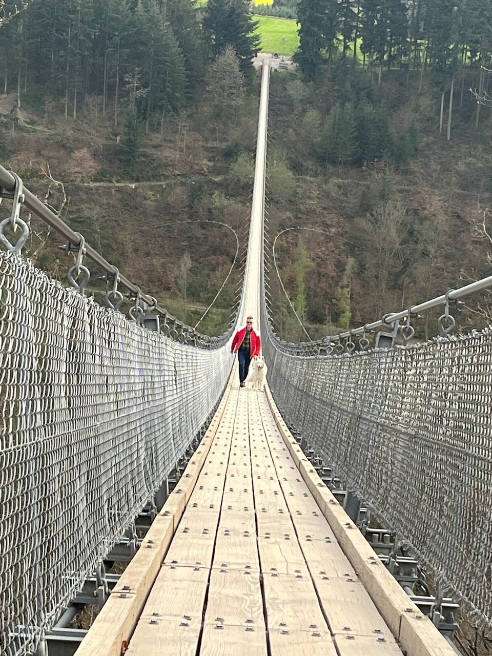 Deutschland - Mörsdorf - Und dann kamen sie nähere