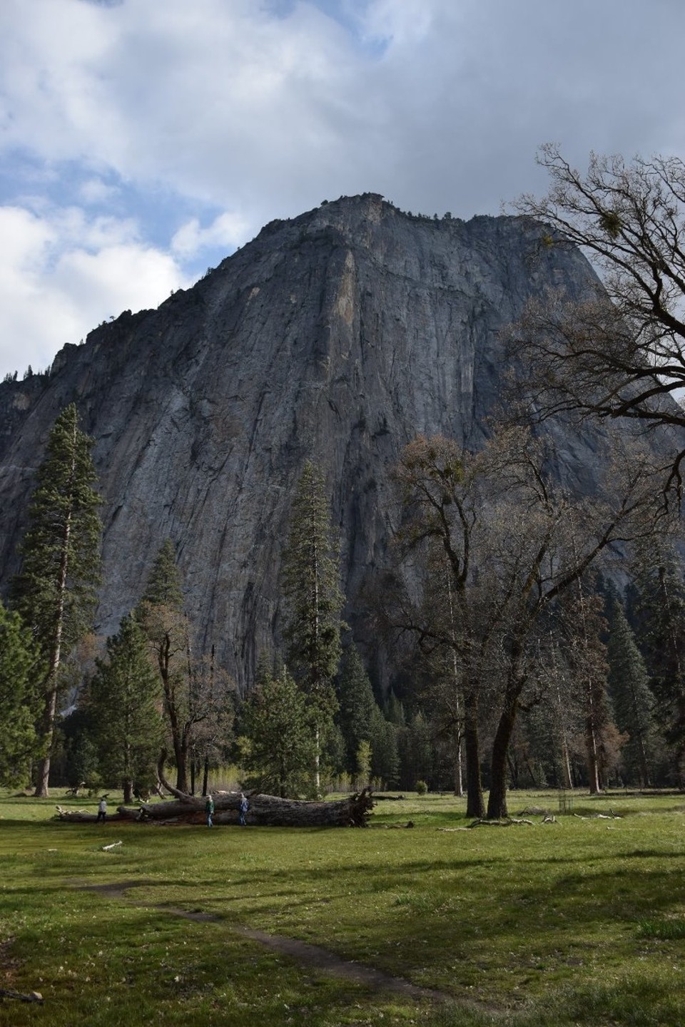 USA - Yosemite-Nationalpark - 