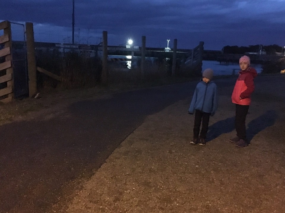 Neuseeland - South Hill - Auch auf dem Heimweg von der Kolonie zum Campingplatz und auch auf dem Campingplatz selber trifft man auf blaue Pinguine. 