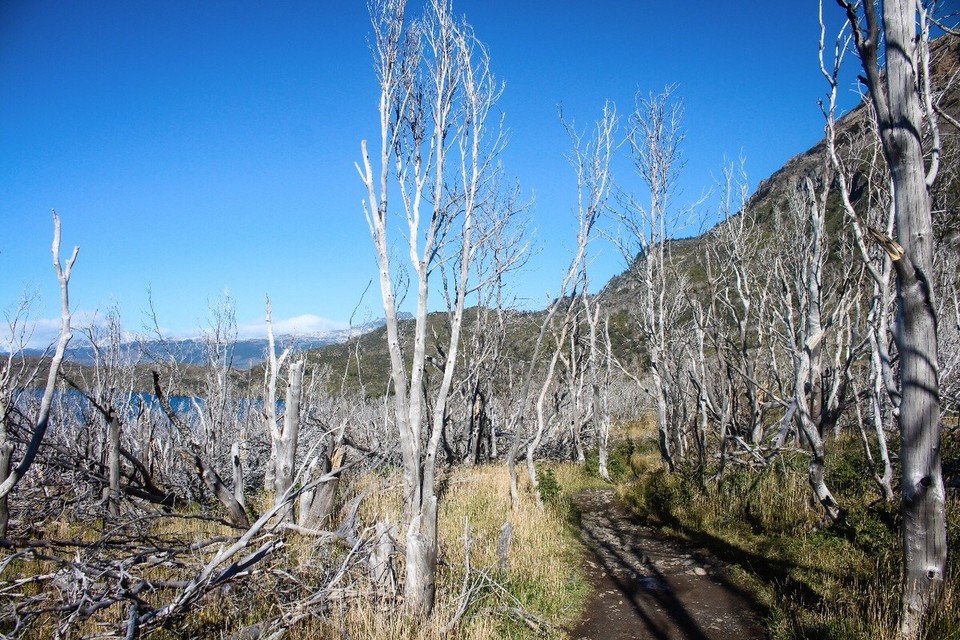 Chile - Torres del Paine - Mystische Landschaft zu Beginn 