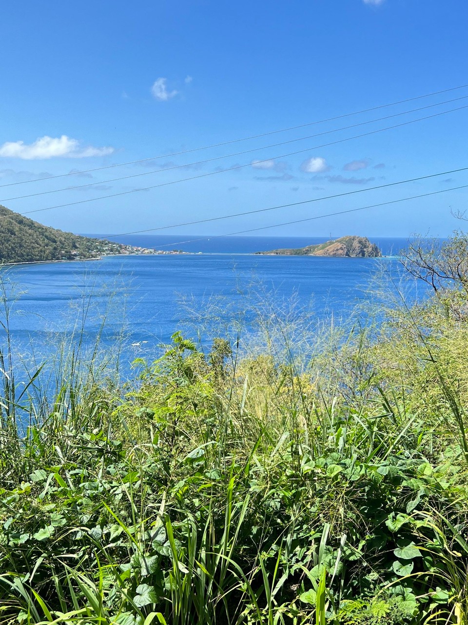Dominica -  - 