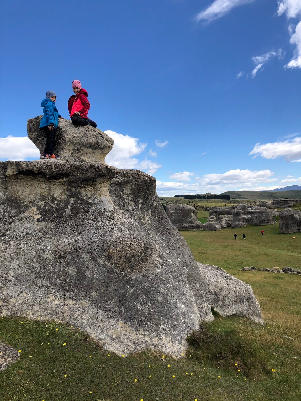 Neuseeland - Island Cliff - 