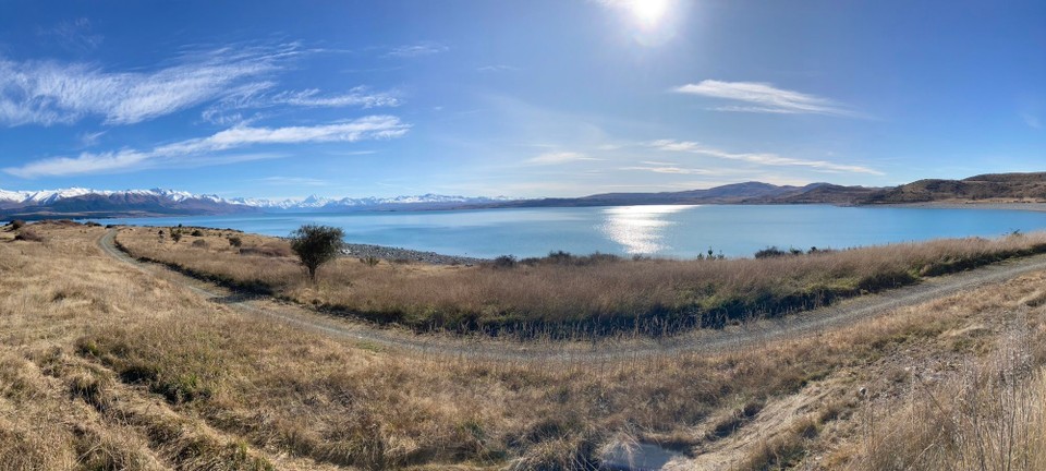 Neuseeland - Pukaki - Und da ist er auch schon - Mount Cook. Hinter dem Strauch ist eine Doppelspitze zu sehen und der hintere der beiden ist Mount Cook, der höchste Berg Neuseelands mit 3724m