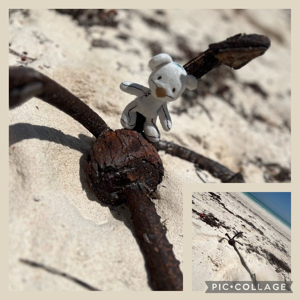 Tansania -  - 