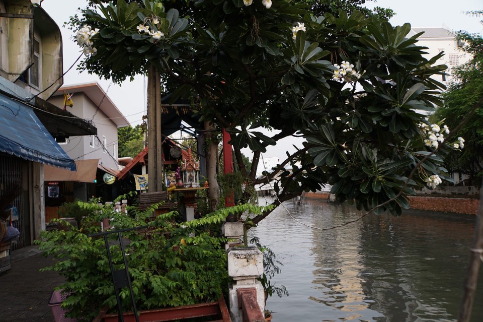 Thailand - Bangkok - 