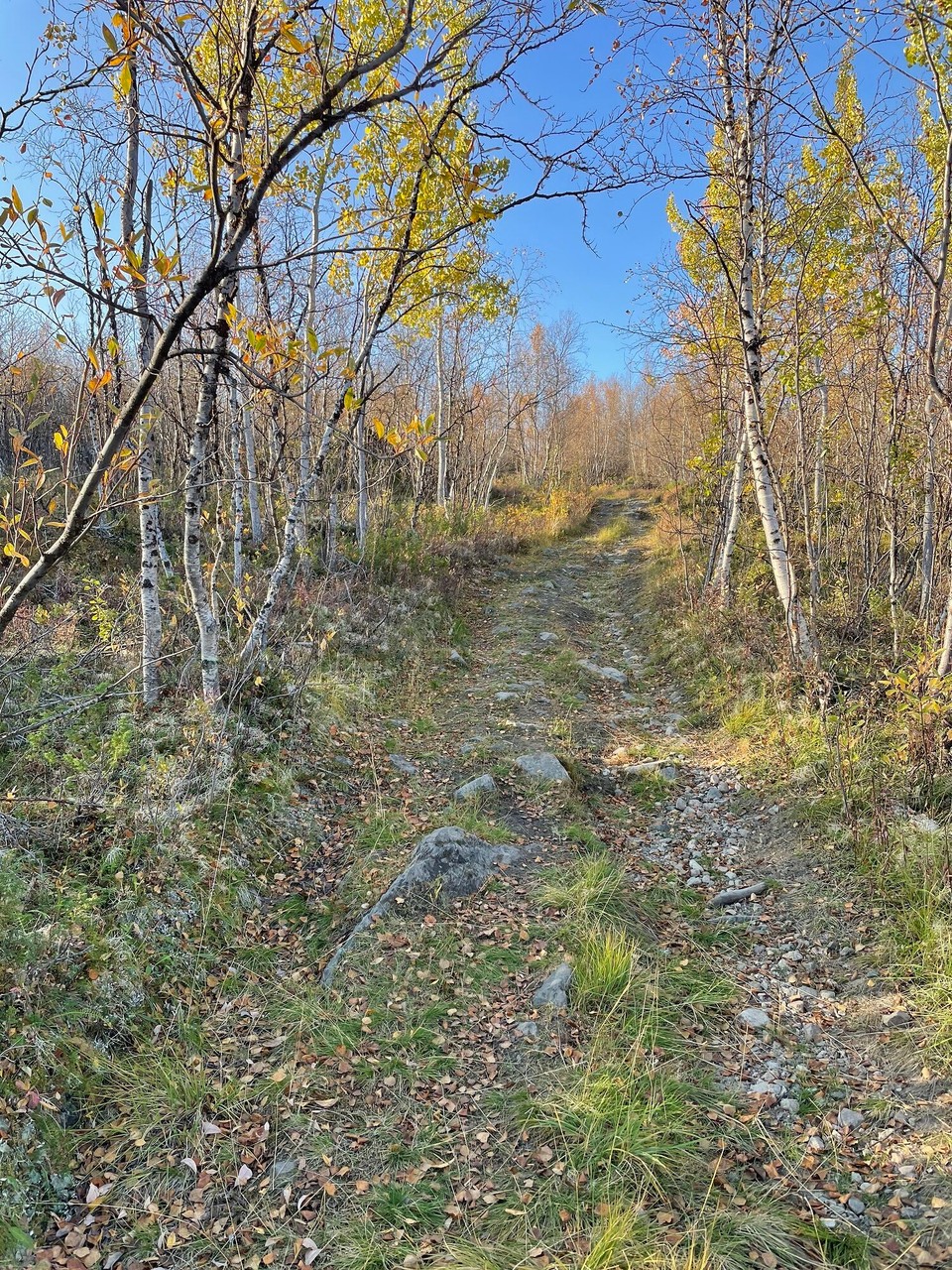 Norwegen - Karasjok - Assebakti Wanderweg bei bestem Wetter 