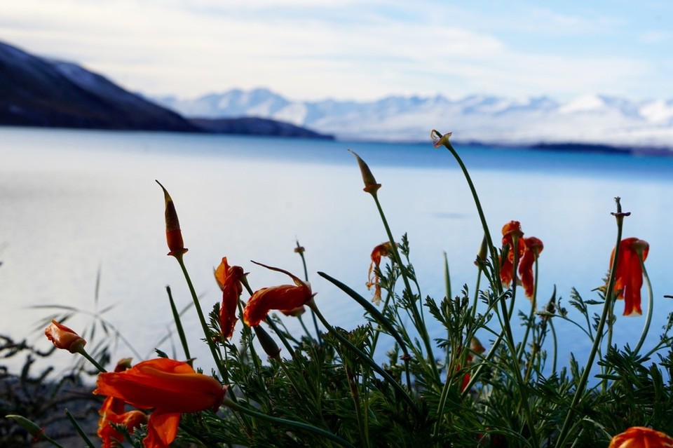 Neuseeland - Christchurch - 