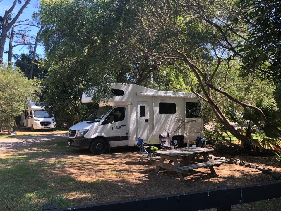 Neuseeland - Ahipara - Flauschiges Plätzchen auf dem Ahipara Holidaypark