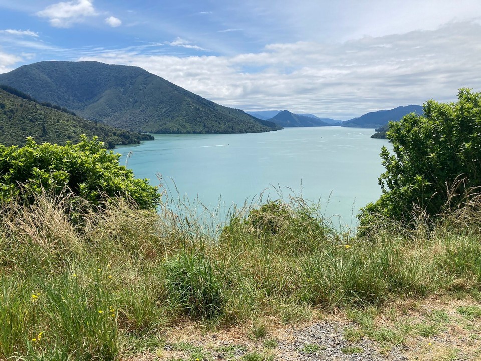 Neuseeland - Picton - Pelorus Sound - Te Hoiere