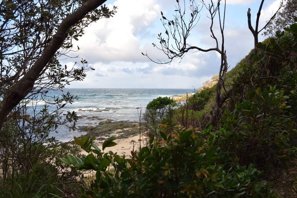 Australien - Port Macquarie - 