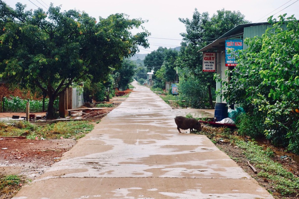 Vietnam - Dalat - 