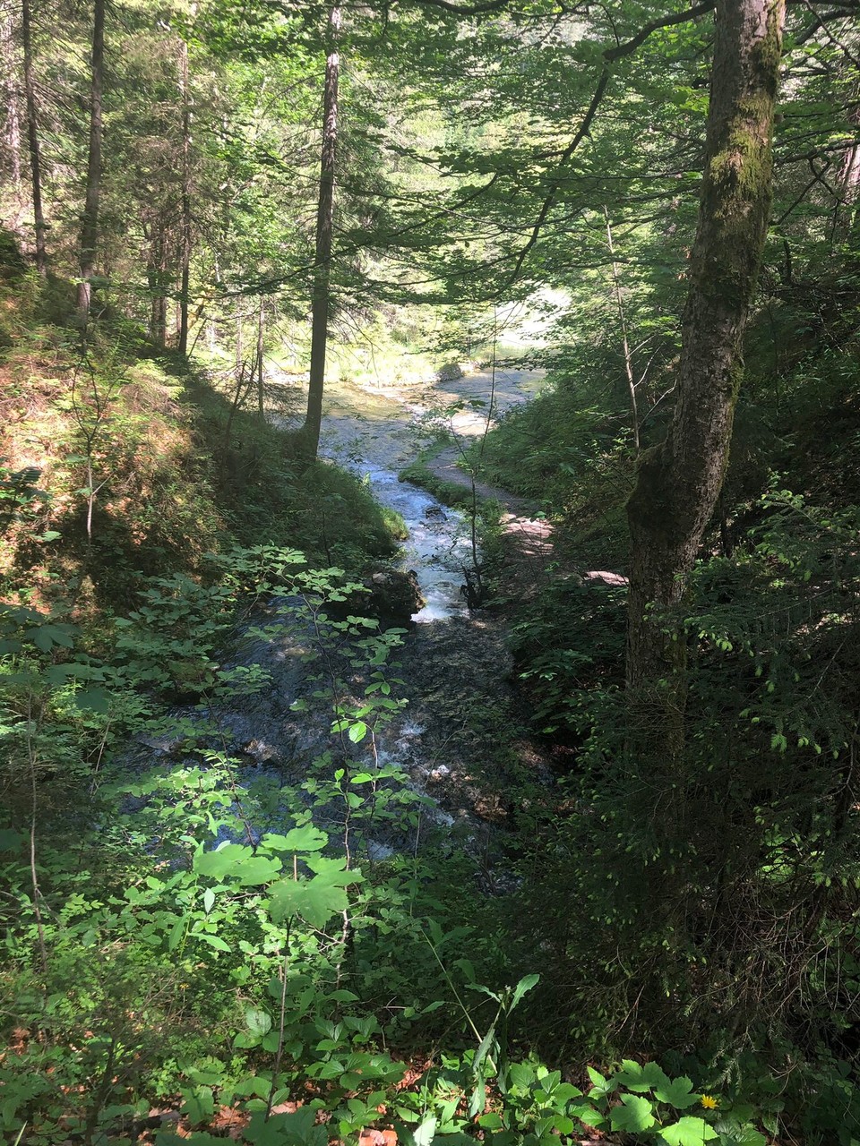 Österreich - Ehrwald - 