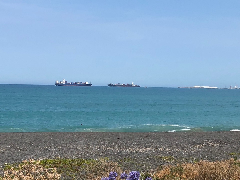 Neuseeland - Napier - Zurück in Bay view