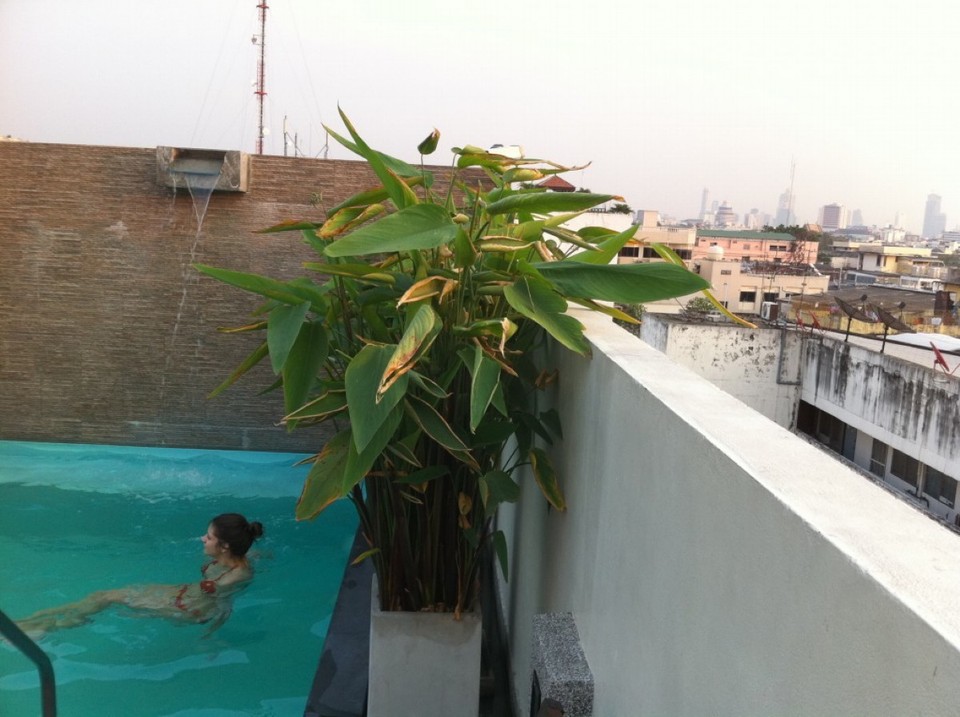 Thailand - Bangkok - 
