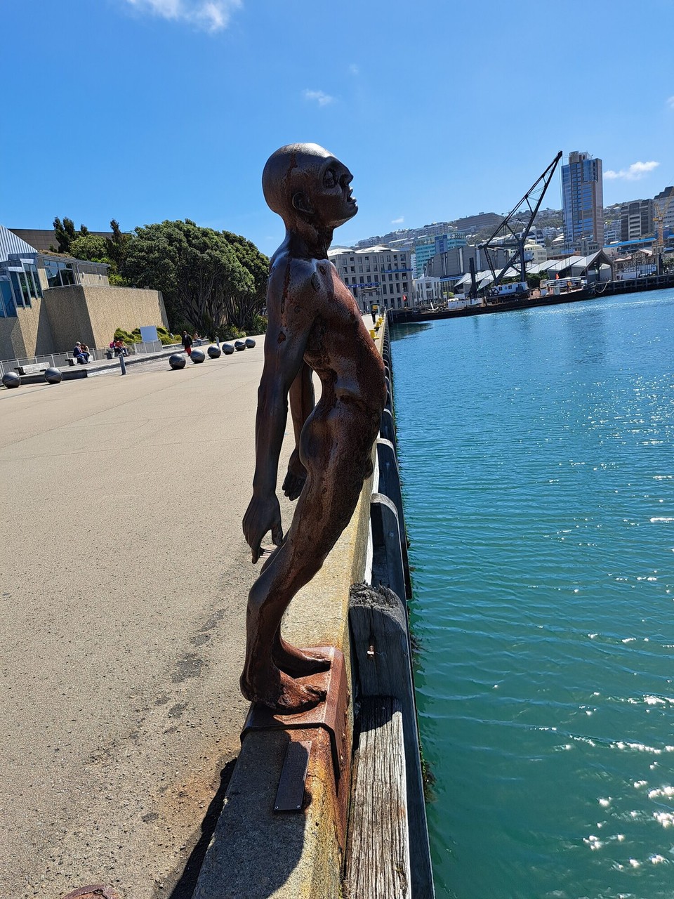 Neuseeland - Wellington - Solace in the Wind 