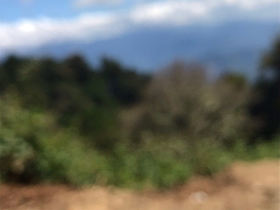 Costa Rica - Perez Zeledon - 