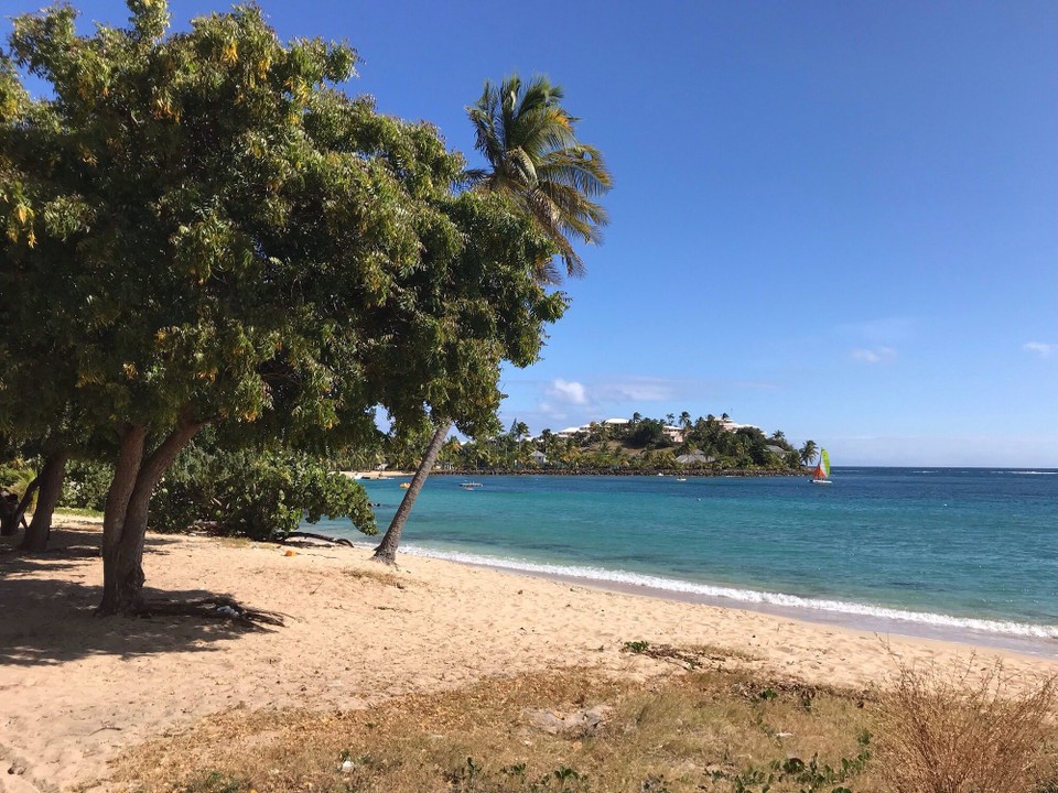 Antigua and Barbuda - Antigua and Barbuda - 
