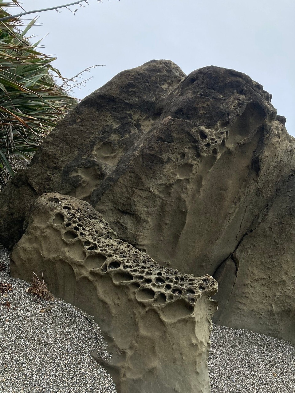 Neuseeland - Paparoa National Park - 