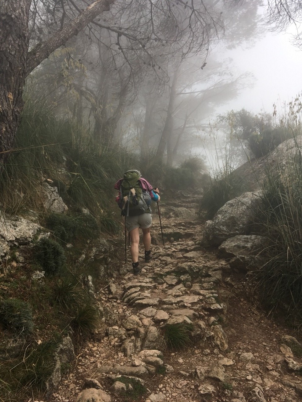 Spanien - Sóller - 