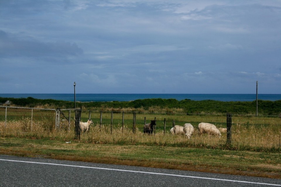 Neuseeland - Golden Bay - 