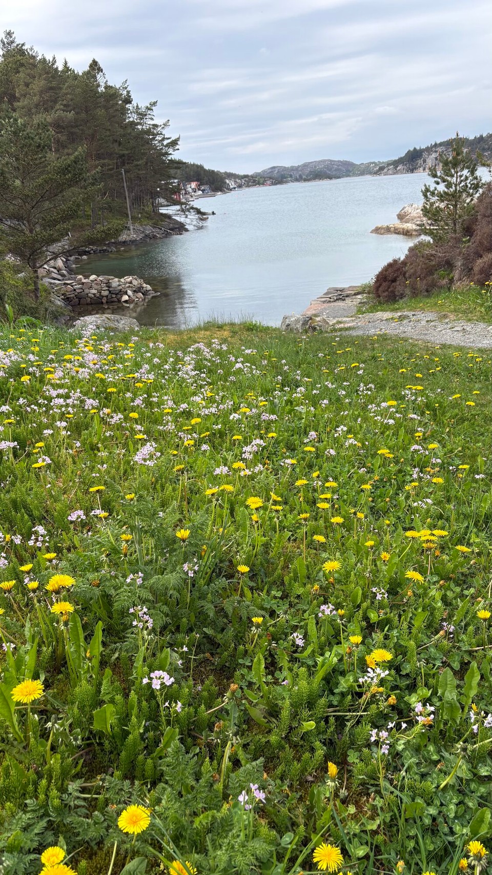 Norwegen - Urangsvåg - Toller Wohnzimmerblick 