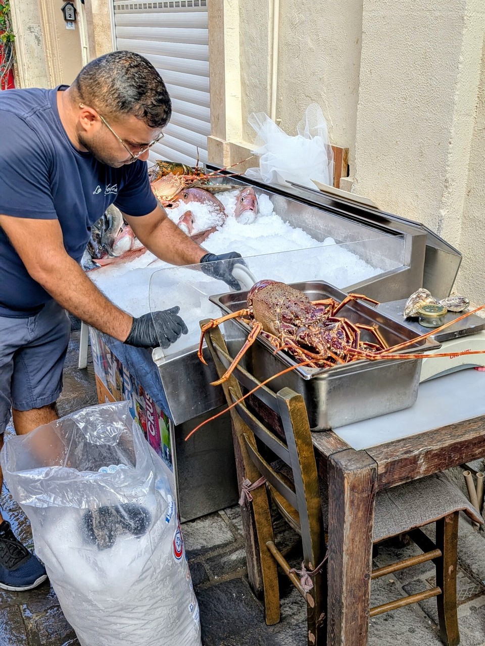 Malta - Valletta - Wirklich frisch sind die Meeresfrüchte, wenn die noch leben..