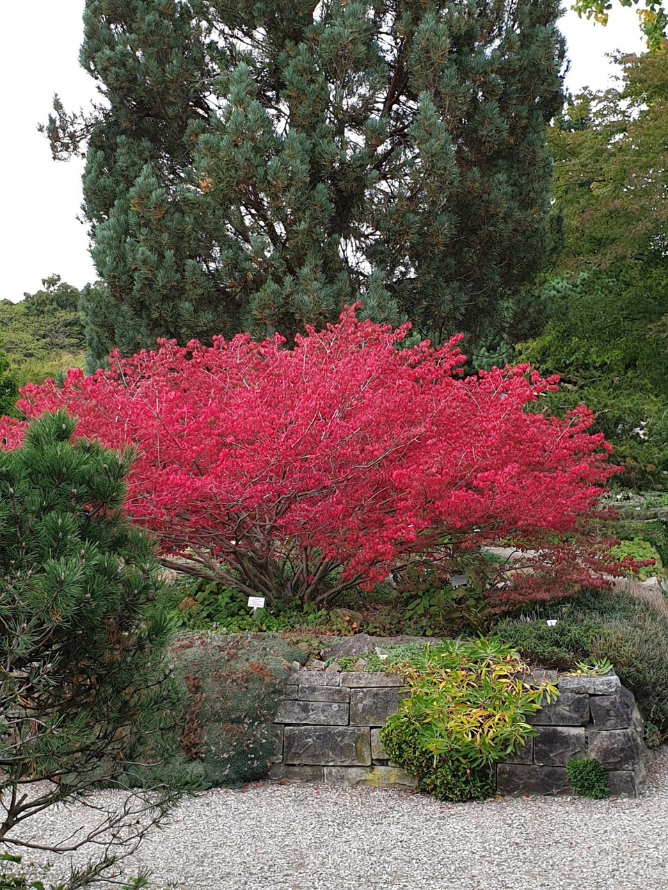 Germany - Hanover - The botanical gardens at Herrenhausen