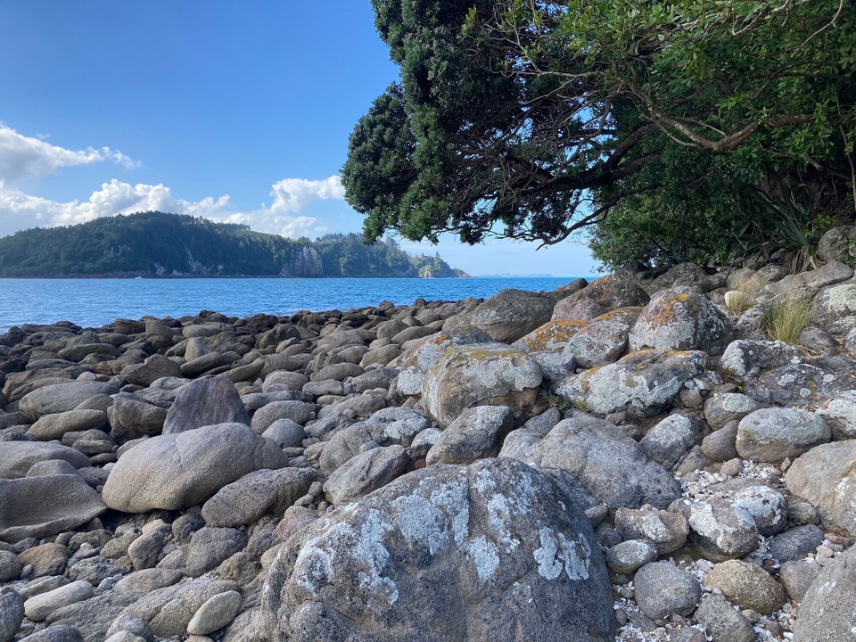 Neuseeland -  - 