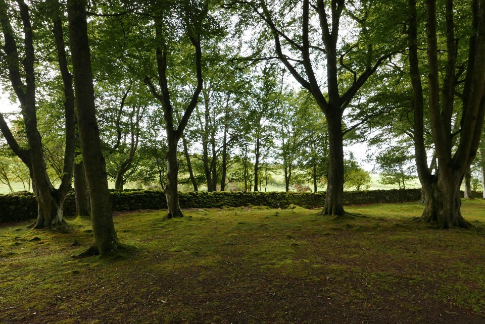 Vereinigtes Königreich - Inverness - Direkte Umgebung bei den Clava Cairns