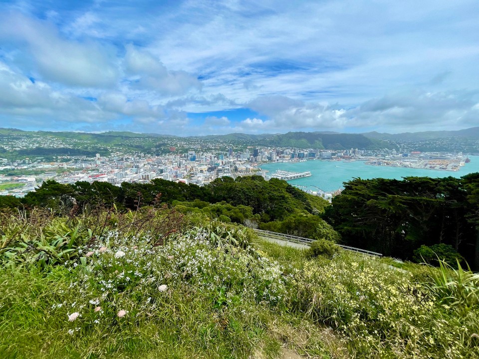 Neuseeland - Wellington - 
