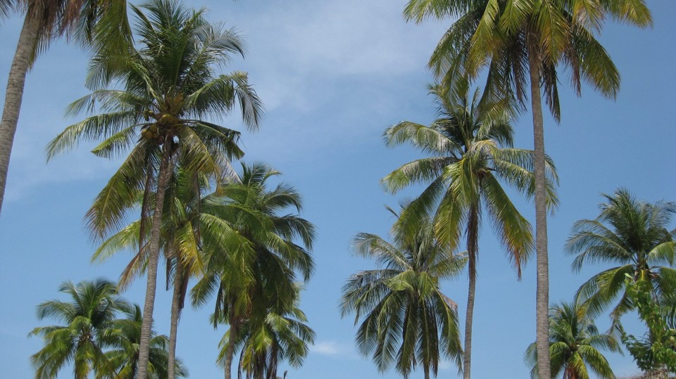 Thailand - Ko Phi Phi - 