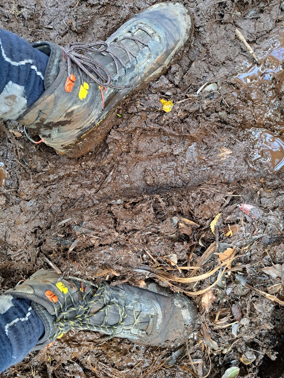 Neuseeland - Puketotara - Für 1km braucht man 1std 