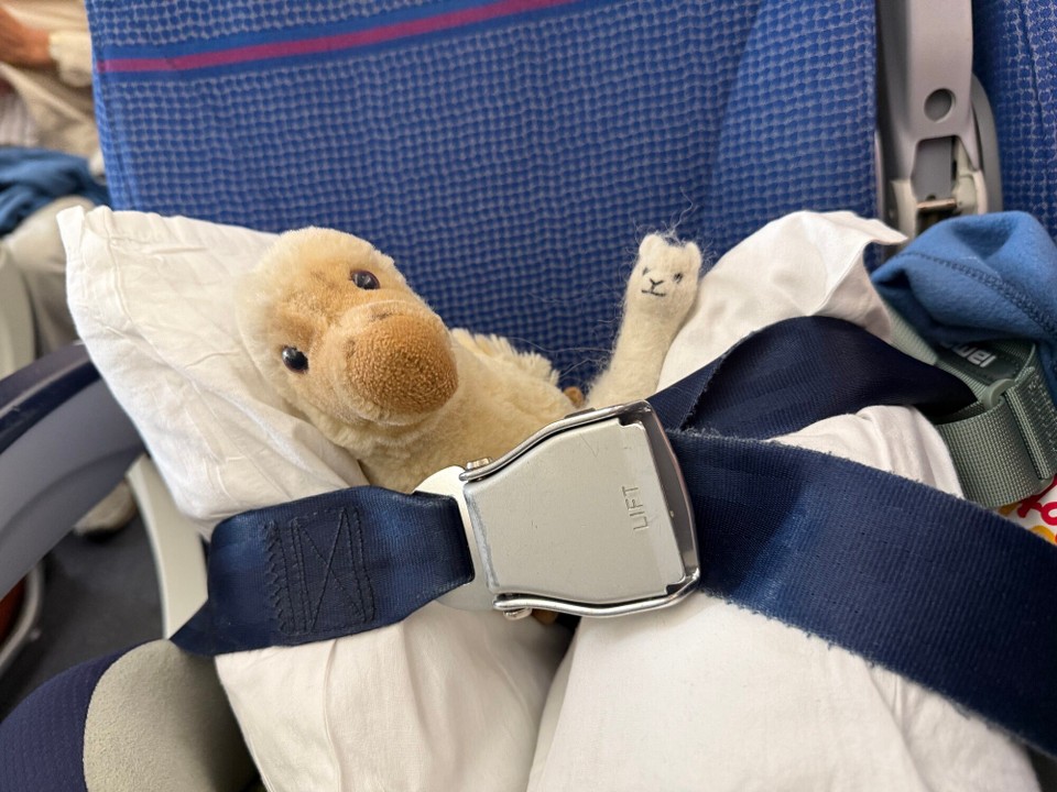 Deutschland - Berlin - Sicher ist sicher