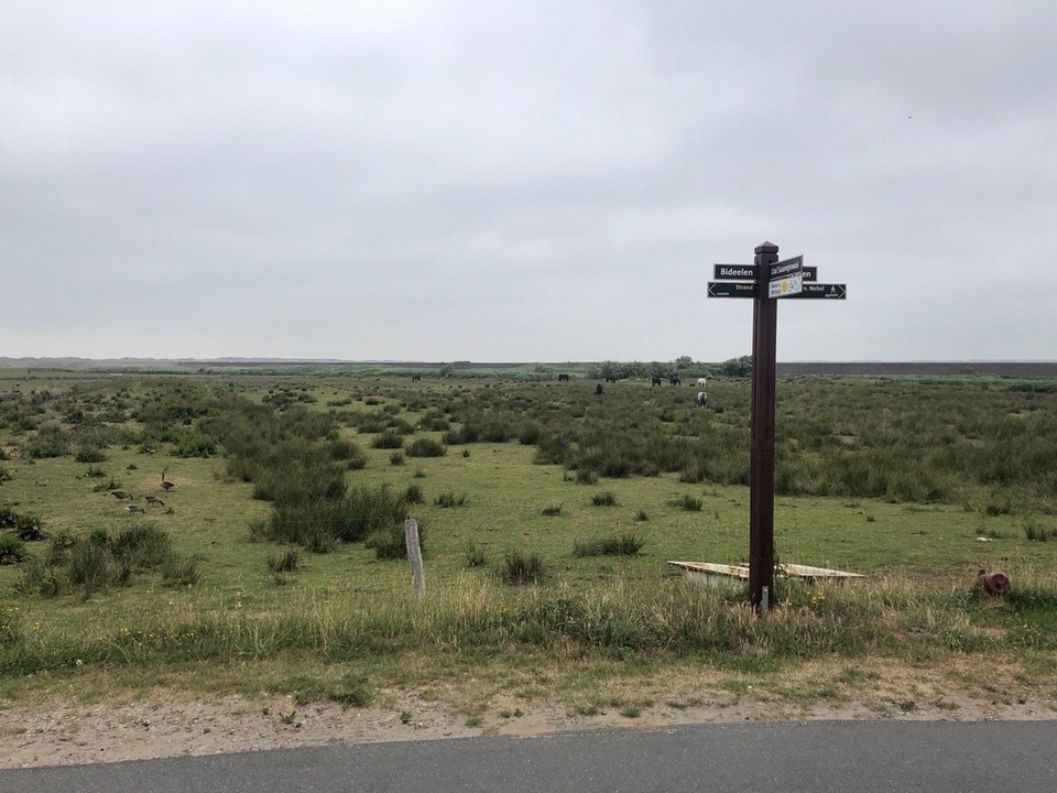 Deutschland - Nebel - Amrum Küste 