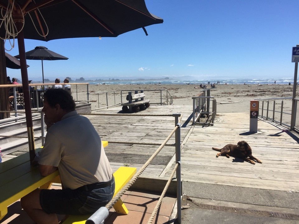 Neuseeland - Christchurch - Strandcafe in Sumner