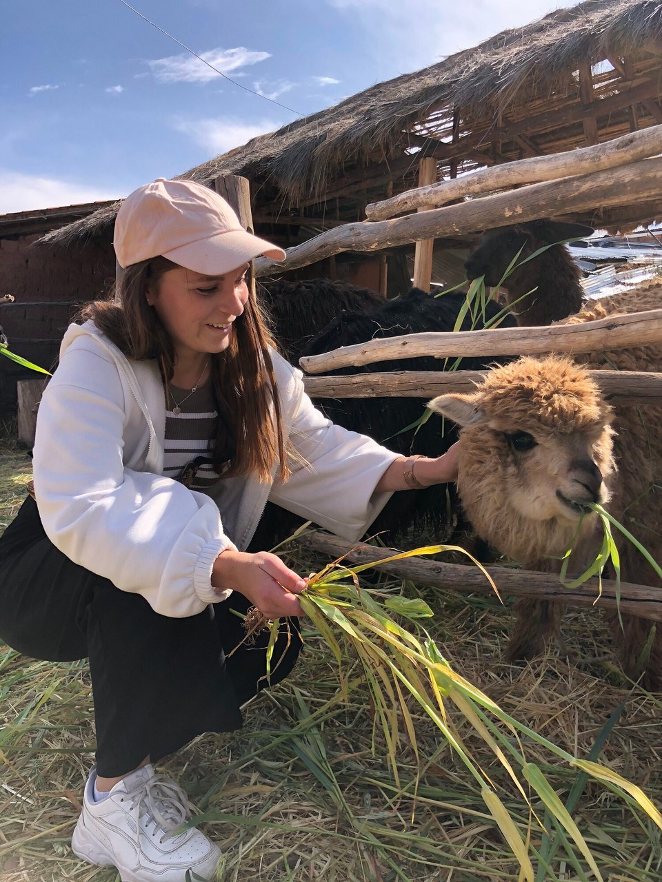 Peru - Cusco - 