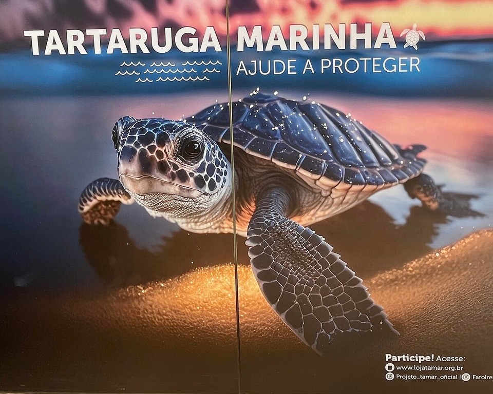 Brasilien - Mata De São João - Die Hochburg der großen Schildkröten, zwischenzeitlich sehr touristisch