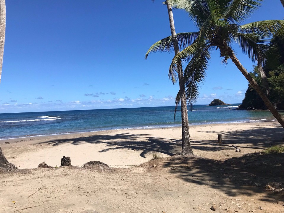 Dominica -  - 